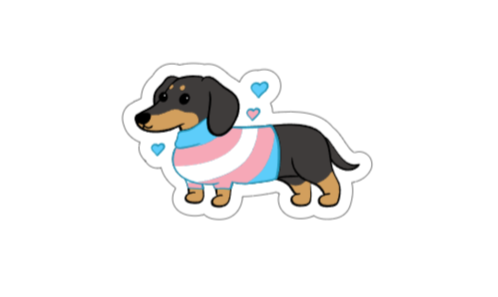 Trans Dachshund