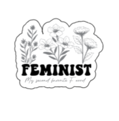 Feminist my second favorite F word