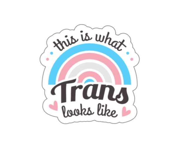 This is what trans looks like
