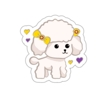 Intersex Poodle