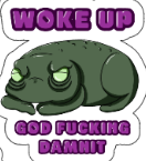 Woke up..