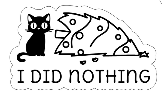 I did nothing