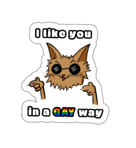I like you, In a GAY way