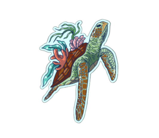 Seaturtle up