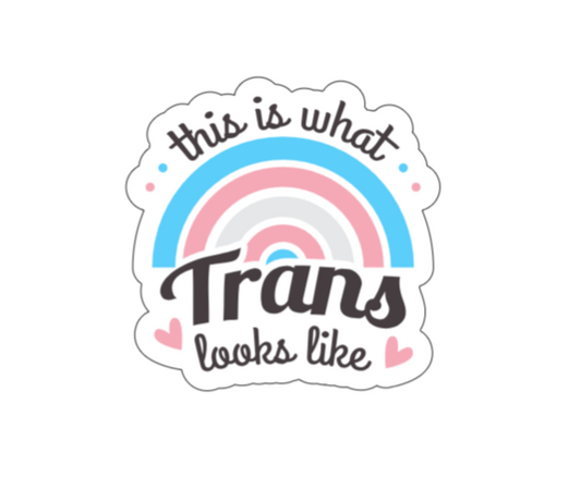 This is what trans looks like